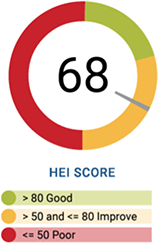 Your Healthy Eating Index (HEI) Score